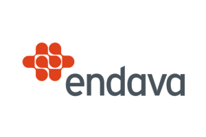 3-Endava
