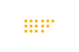 9-SAP Fioneer